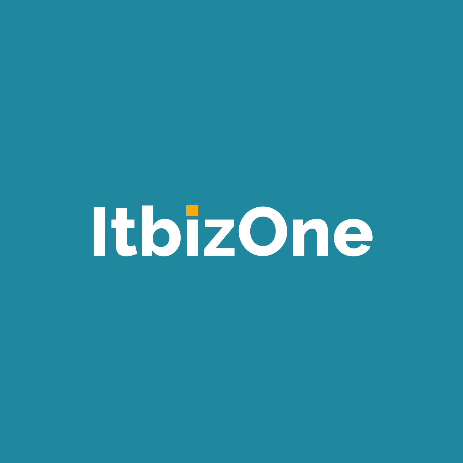 ITBIZONE Team